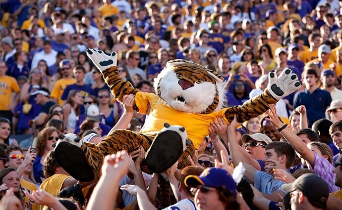 10 Most Famous Florida Mascots • Authentic Florida