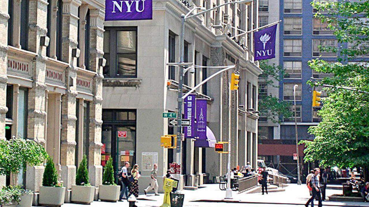 New York University ⋆ College Magazine