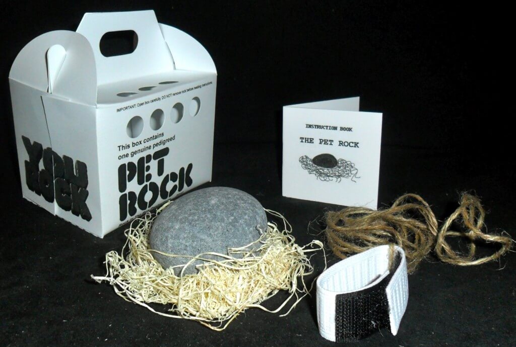 Pet Rock ® Funny Novelty Gift Ideas Ideal for Birthday 