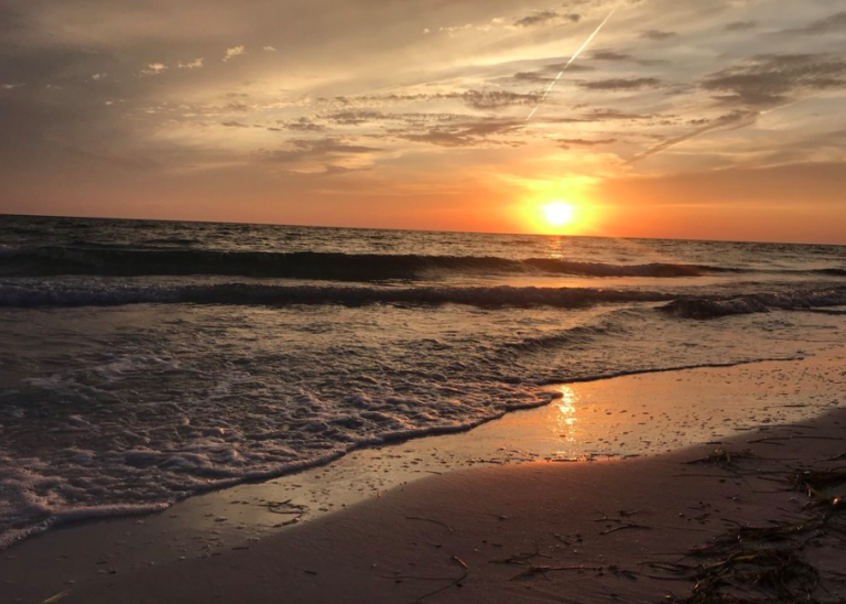 24 Things to Do in Sarasota, Florida in 24 hours ⋆ College Magazine