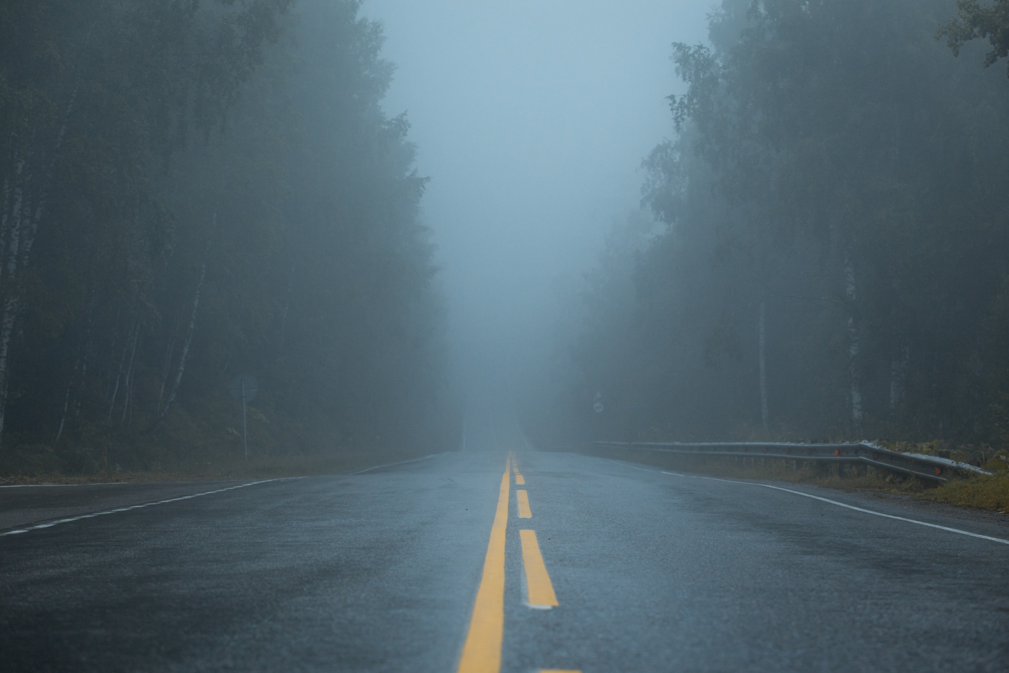 Дорога в лесу желтая разметка туман обои. Fog on the Road. Rainy way. Лес дорога создание противопожарных полос.