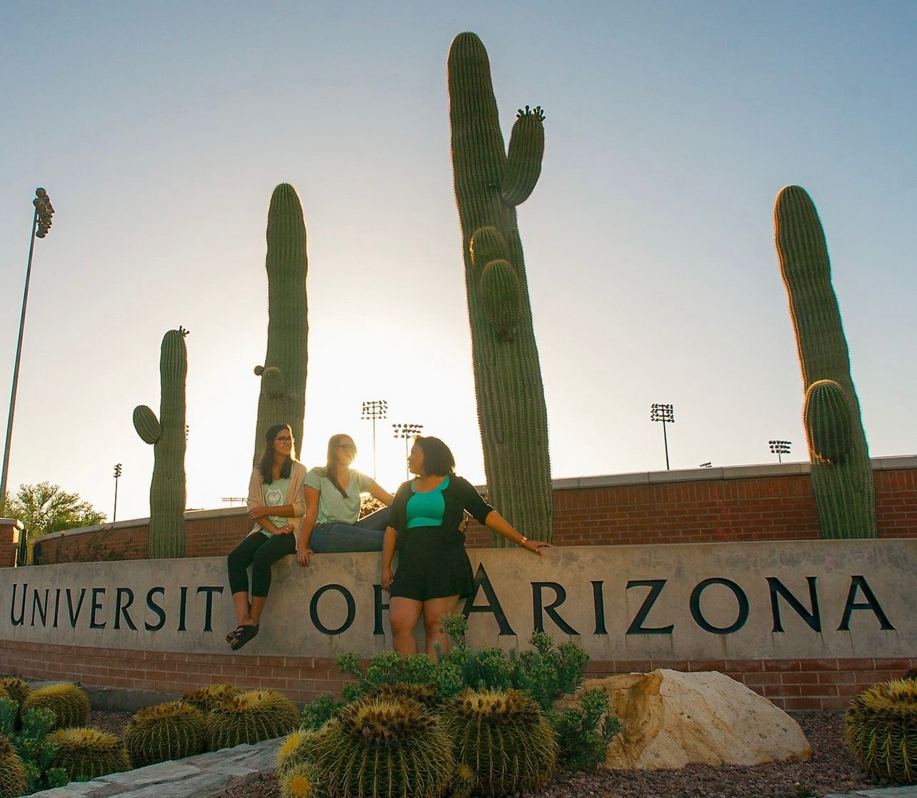 CM's Guide to the University of Arizona